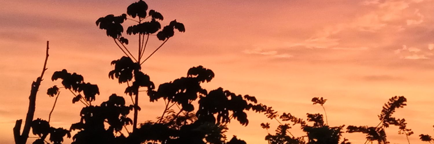 DATOFE's profile banner image
