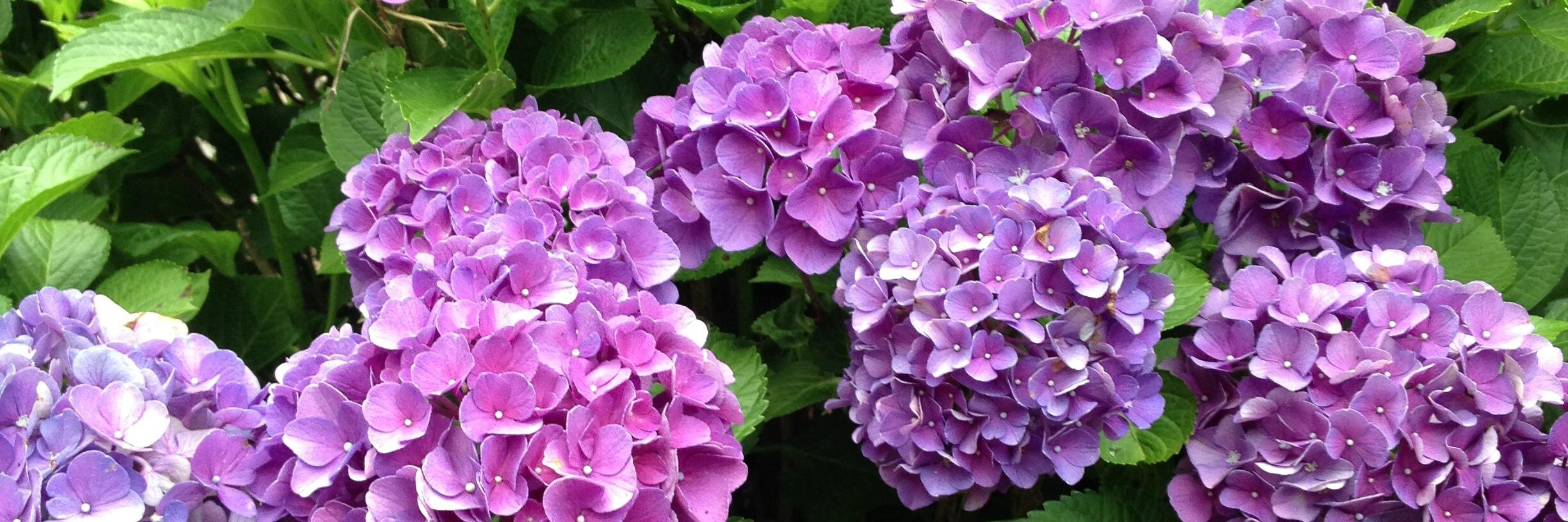 debbiegannon's profile banner image