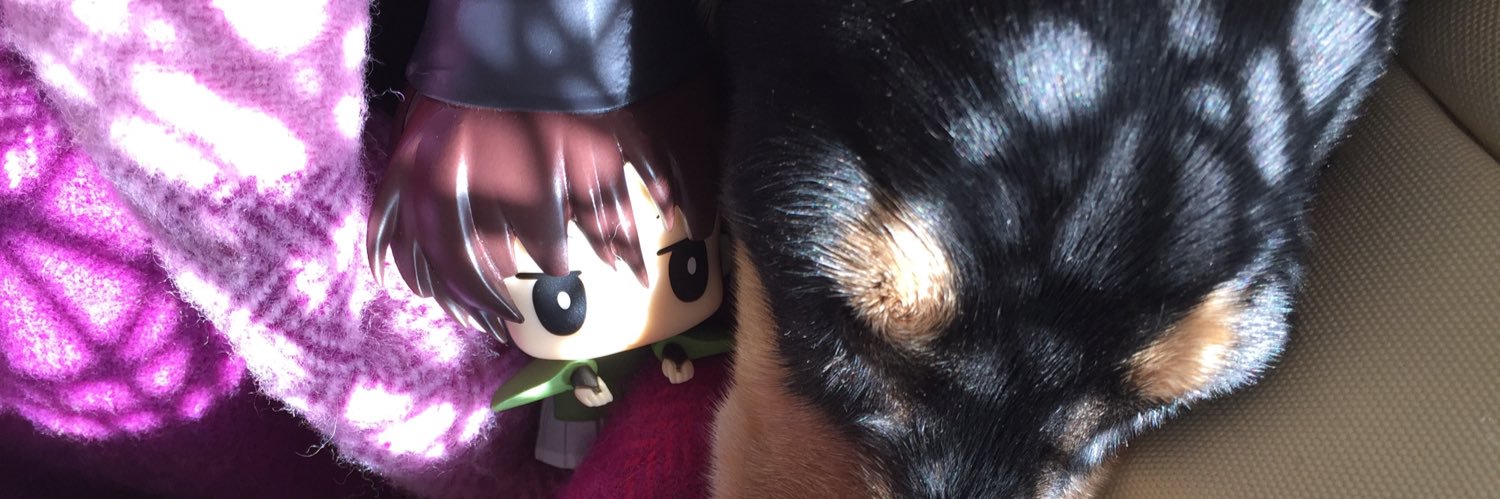 enamell's profile banner image