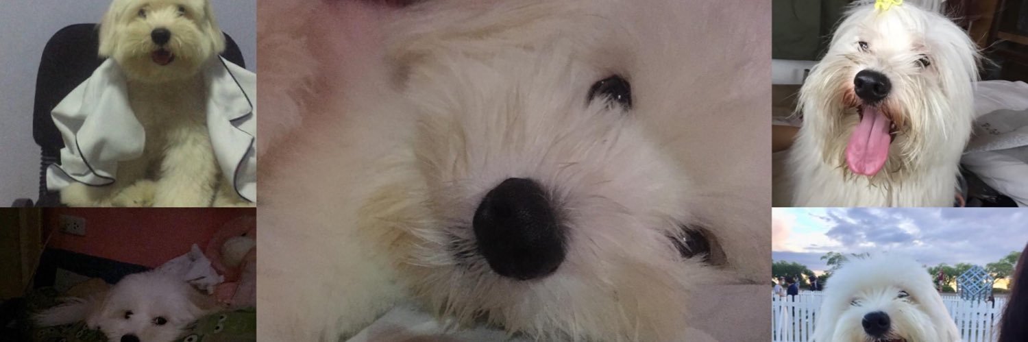 cocacolooo's profile banner image