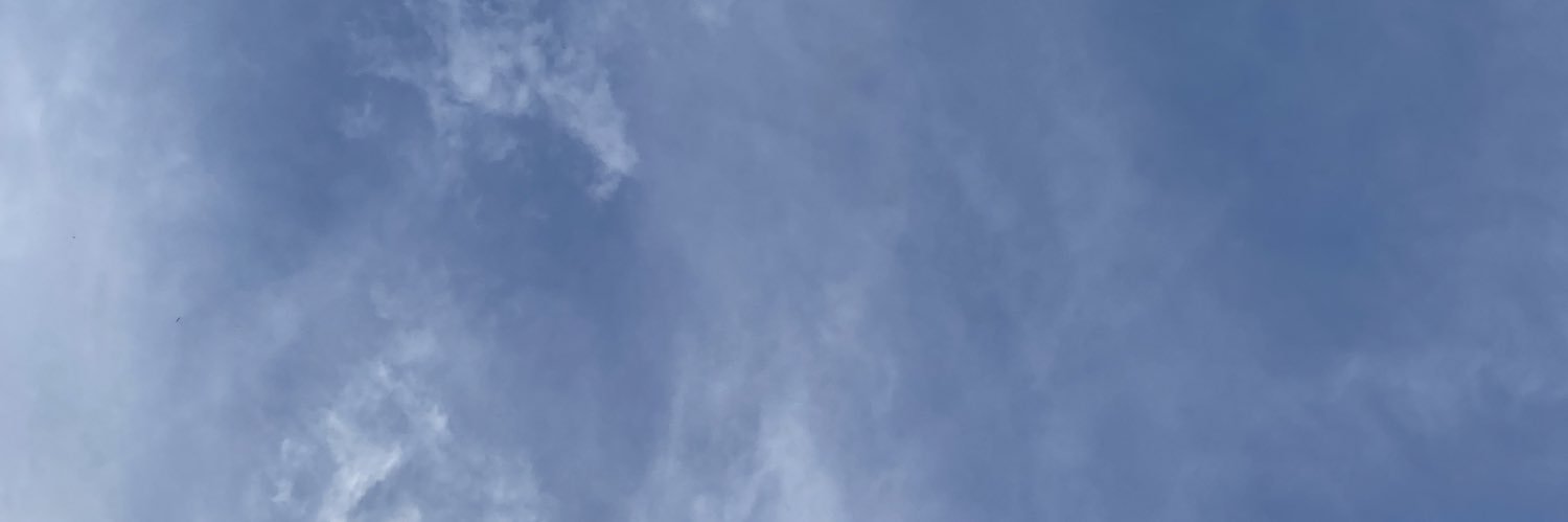 juceliterci's profile banner image
