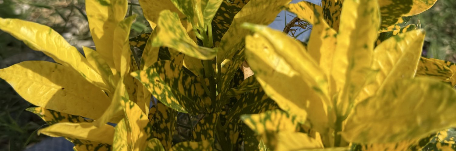 Abubakar sadeeq banner