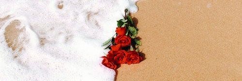 Monse_Ramirez29's profile banner image