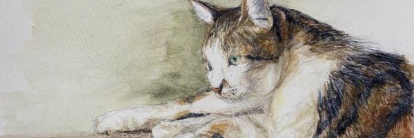 systemp_momo Profile Banner