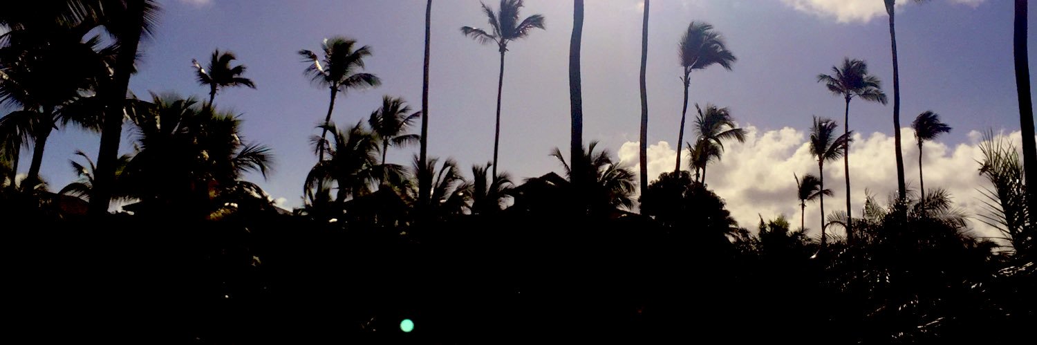 cesarnpena1's profile banner image