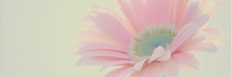 ron_hiro's profile banner image