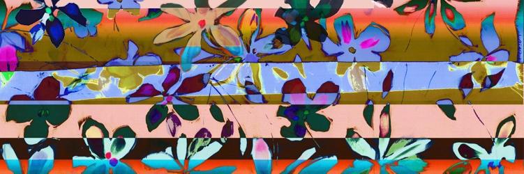 Clover Canyon banner