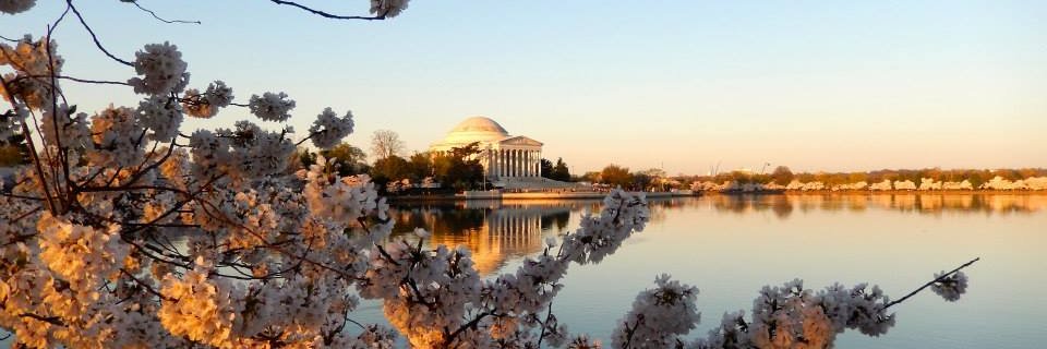 Katie McWilliams banner