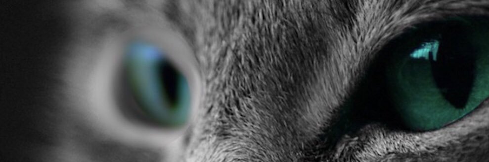 Alan_ch_nk's profile banner image