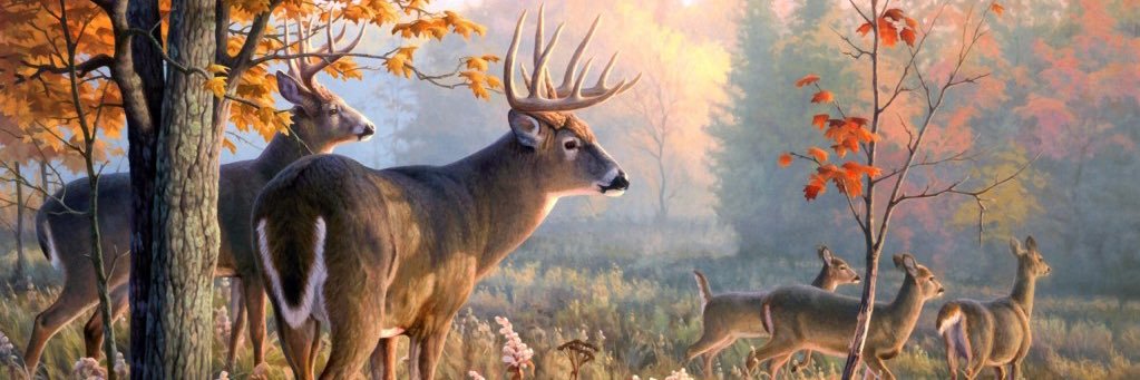 JT in the G - land of the cheese 🧀 banner