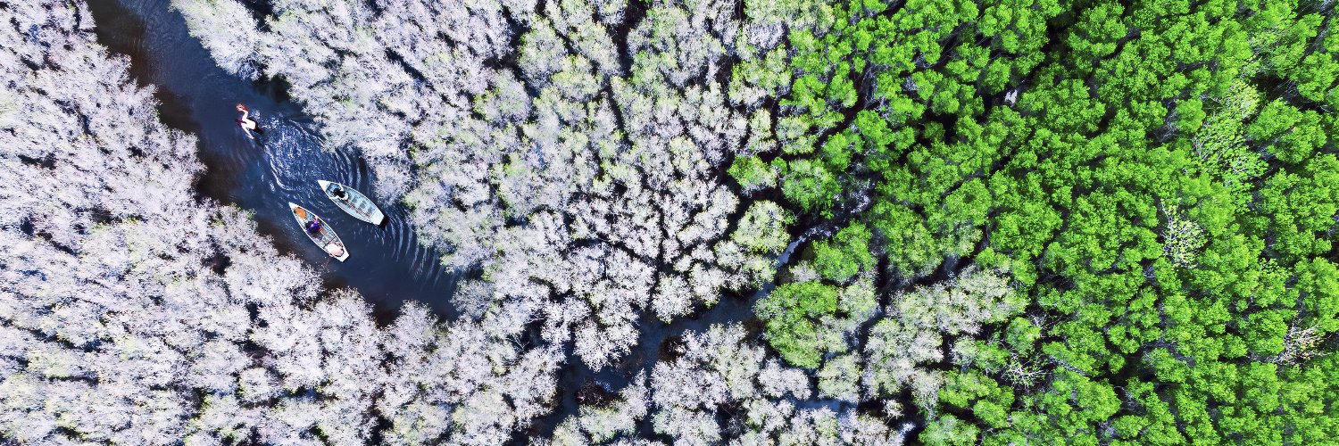 Environmental Photographer of the Year banner