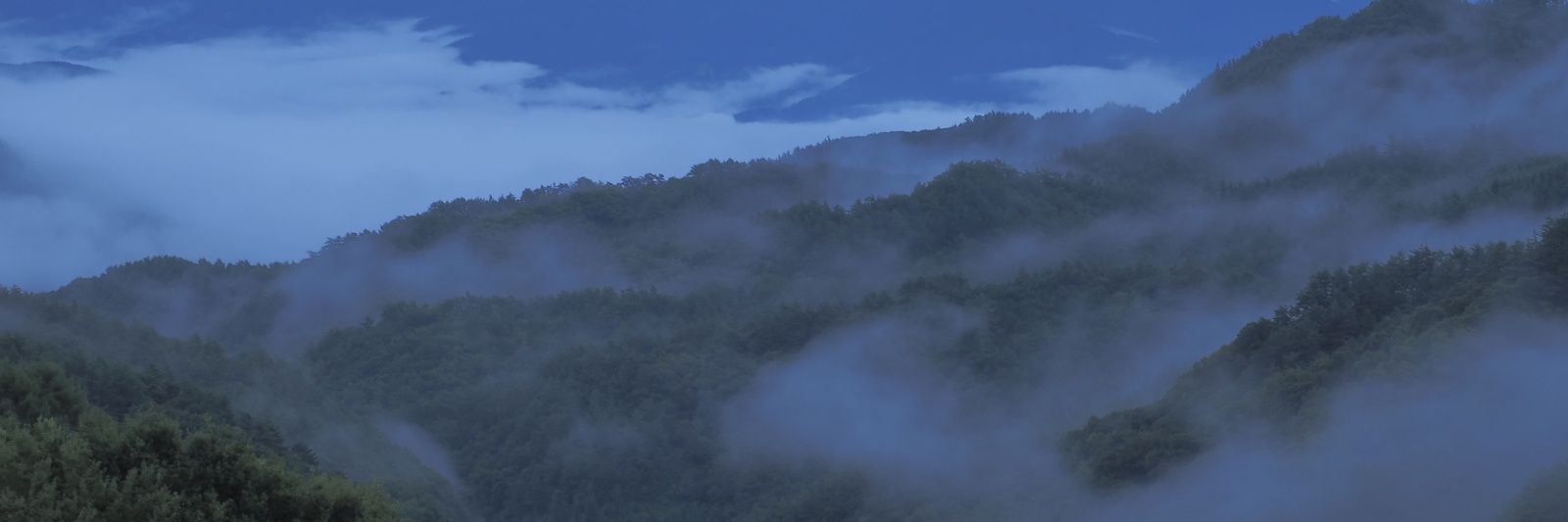 ダンディーナ banner