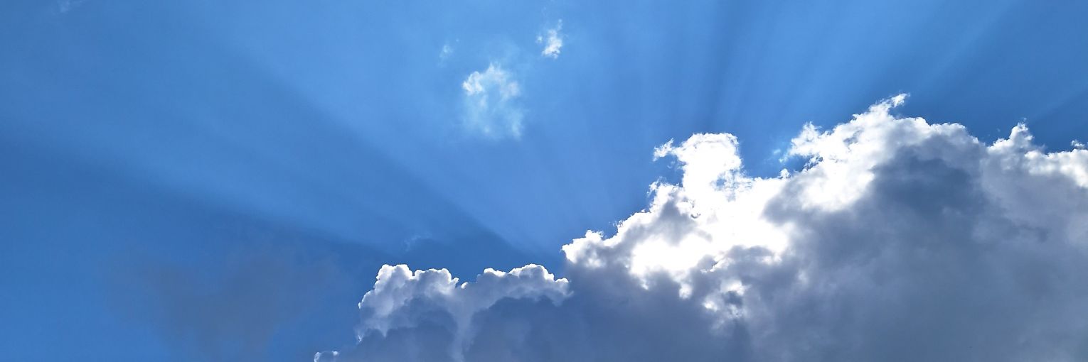 KirstiLP's profile banner image