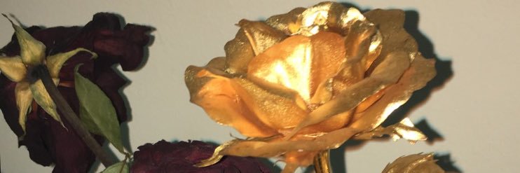Ayeesha_A's profile banner image