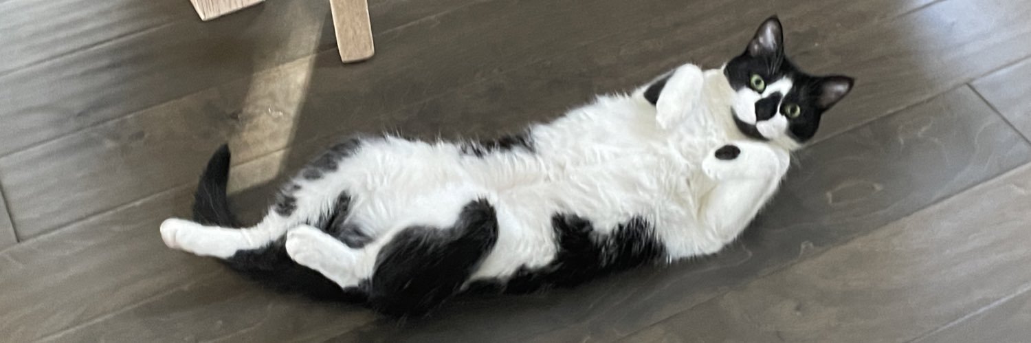 Flibbon's profile banner image