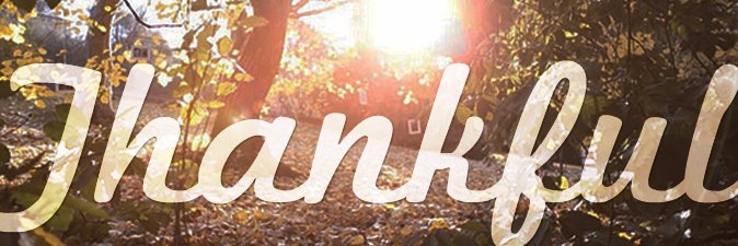 JMNeil's profile banner image