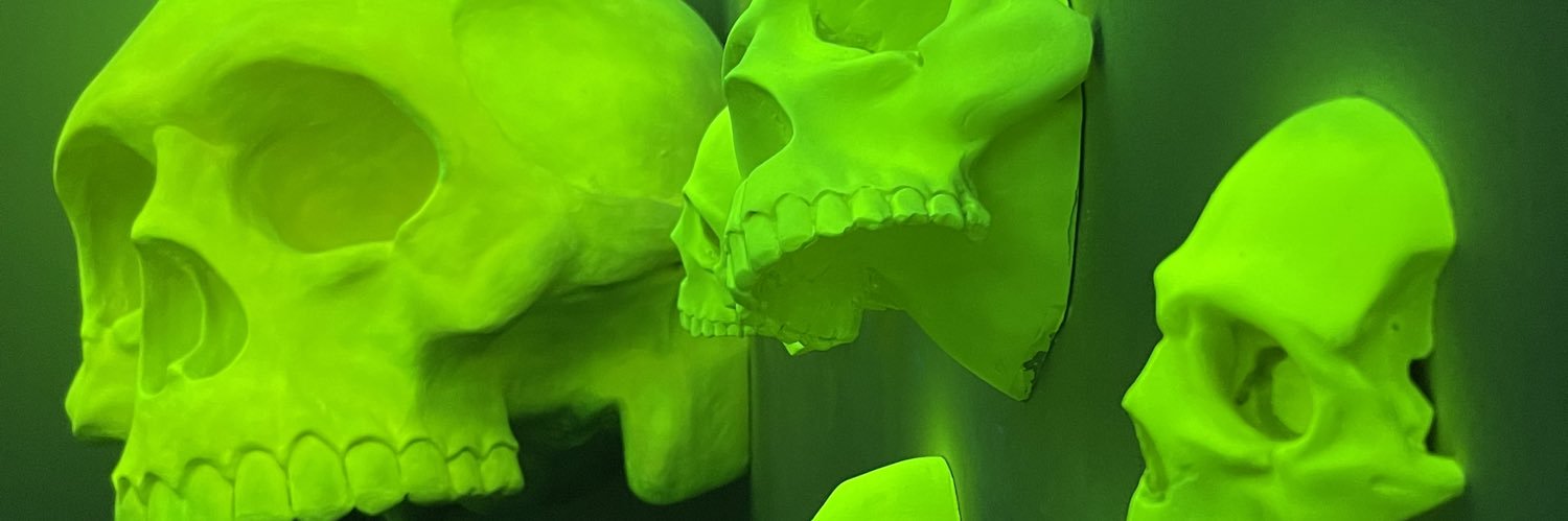 BernardoMarcos4's profile banner image