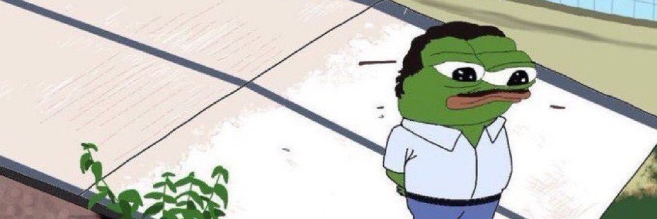 Pepe_TheCoin's profile banner image