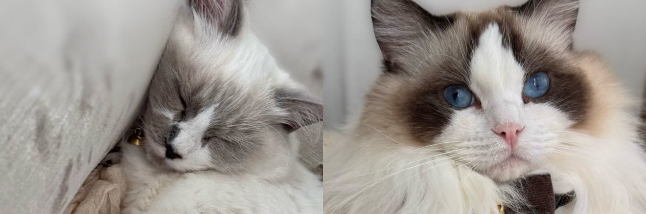 emmieRichardson's profile banner image