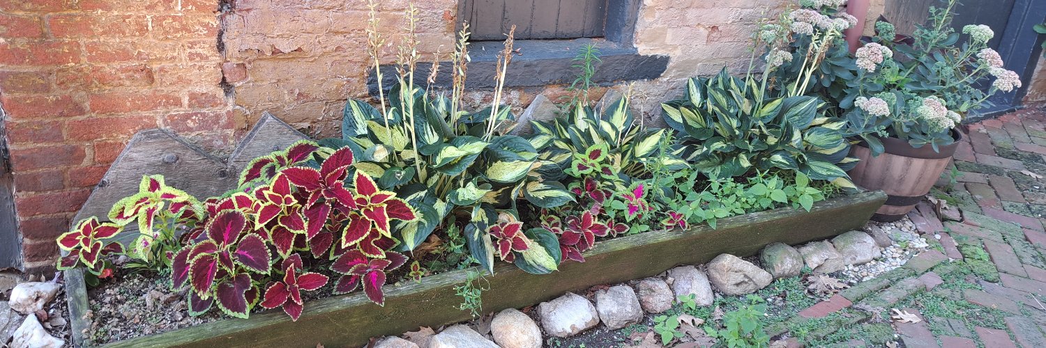 MobyJane's profile banner image