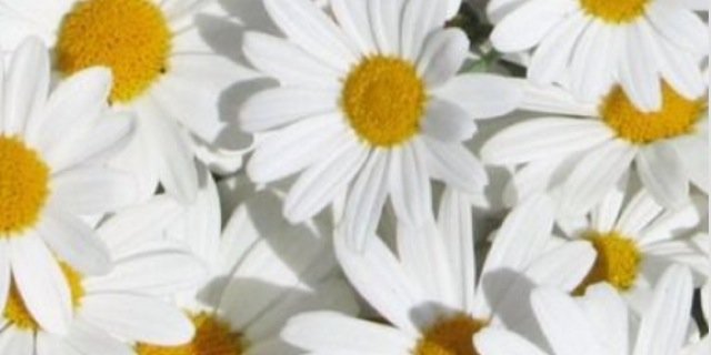 SAMurai_doe14's profile banner image