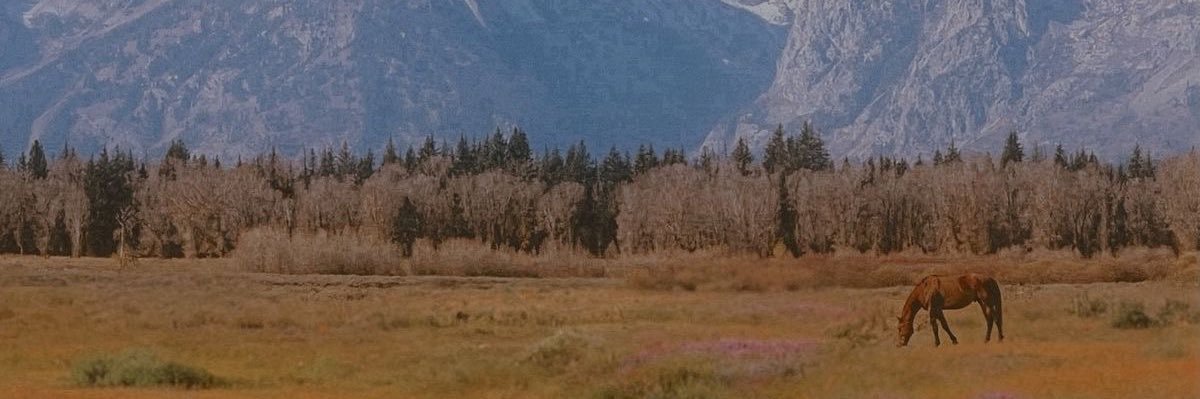 Kait banner