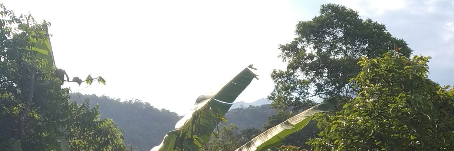 ErickBalu's profile banner image