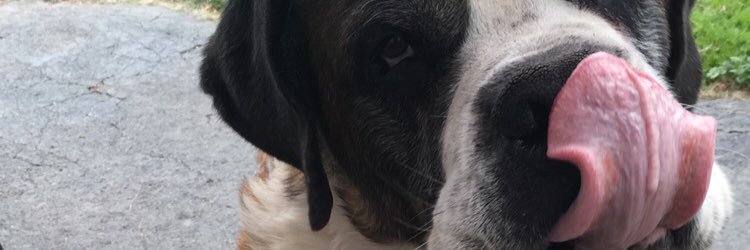 alessandraaaaj's profile banner image