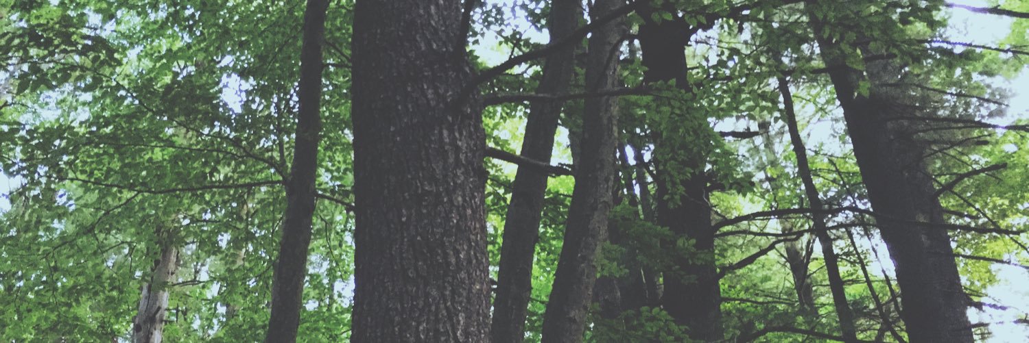 kayleeviets's profile banner image