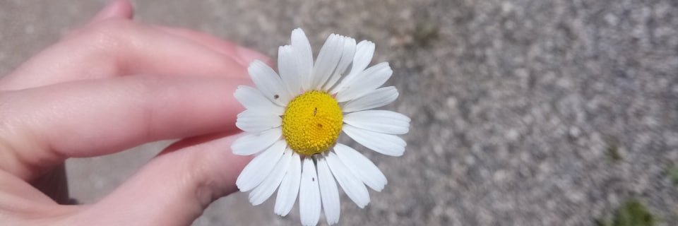 secsidepp's profile banner image