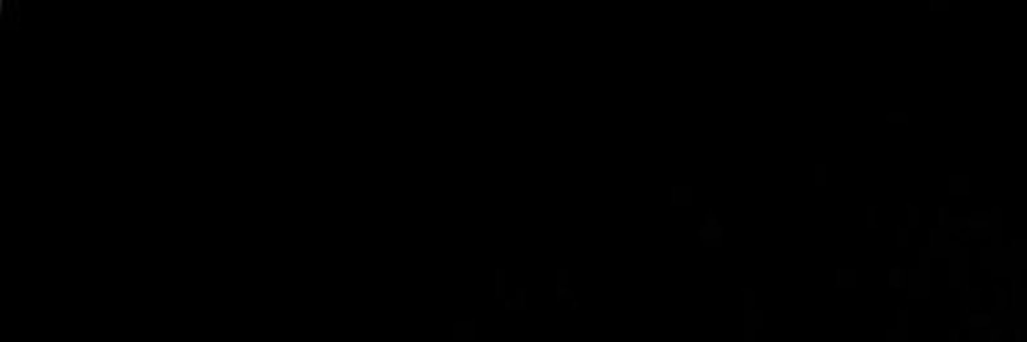 icyminie's profile banner image
