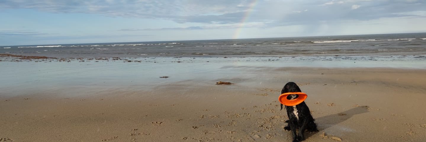 hanheathx's profile banner image