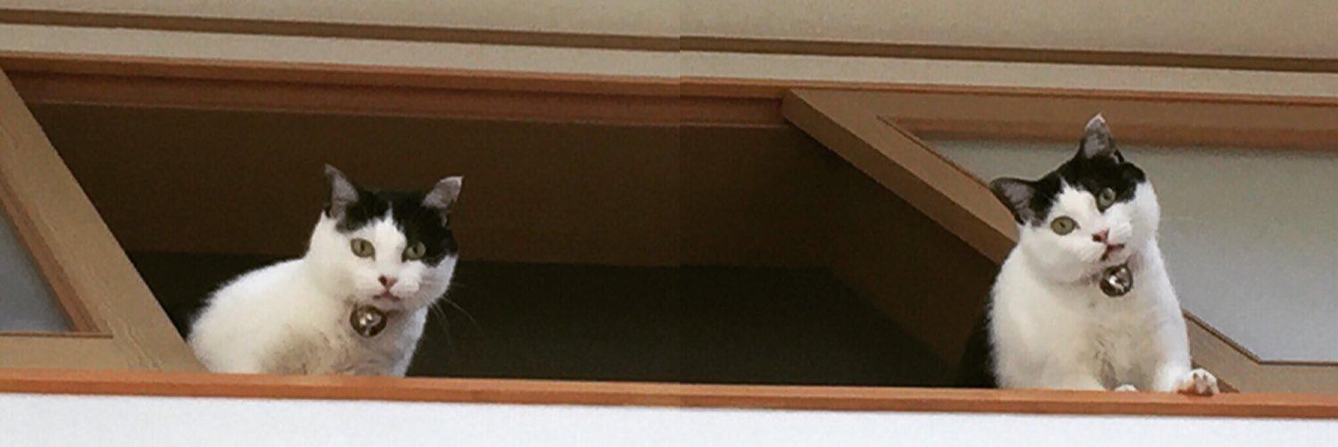 v͙e͙l͙o͙p͙a͙p͙a͙ ビッグサイトで財布を拾ってくれた方ありがとうございました banner