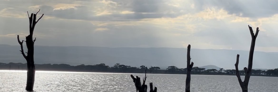 WenwaAwuor's profile banner image