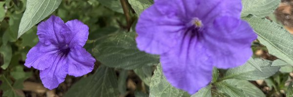 lorewrena Profile Banner