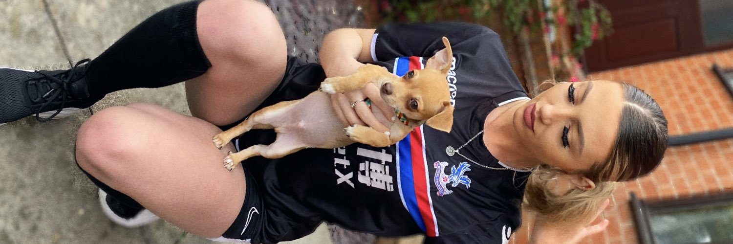 mollyOS ♊️ banner