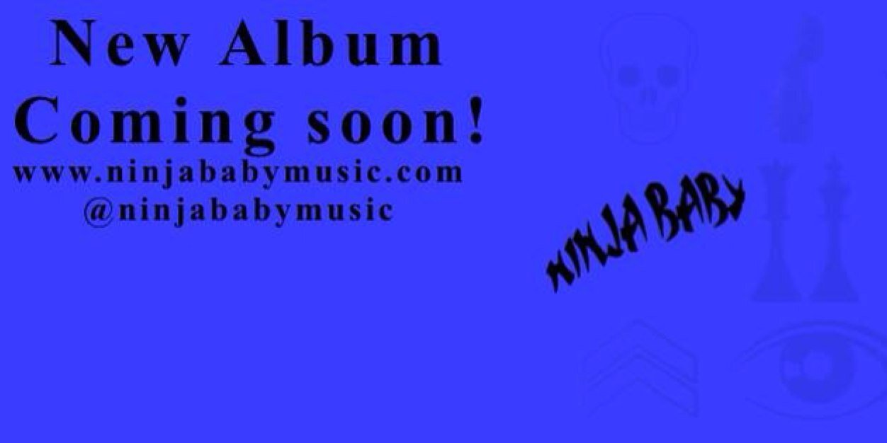 Ninja Baby banner