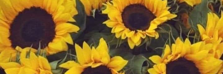 Lifelandlady's profile banner image