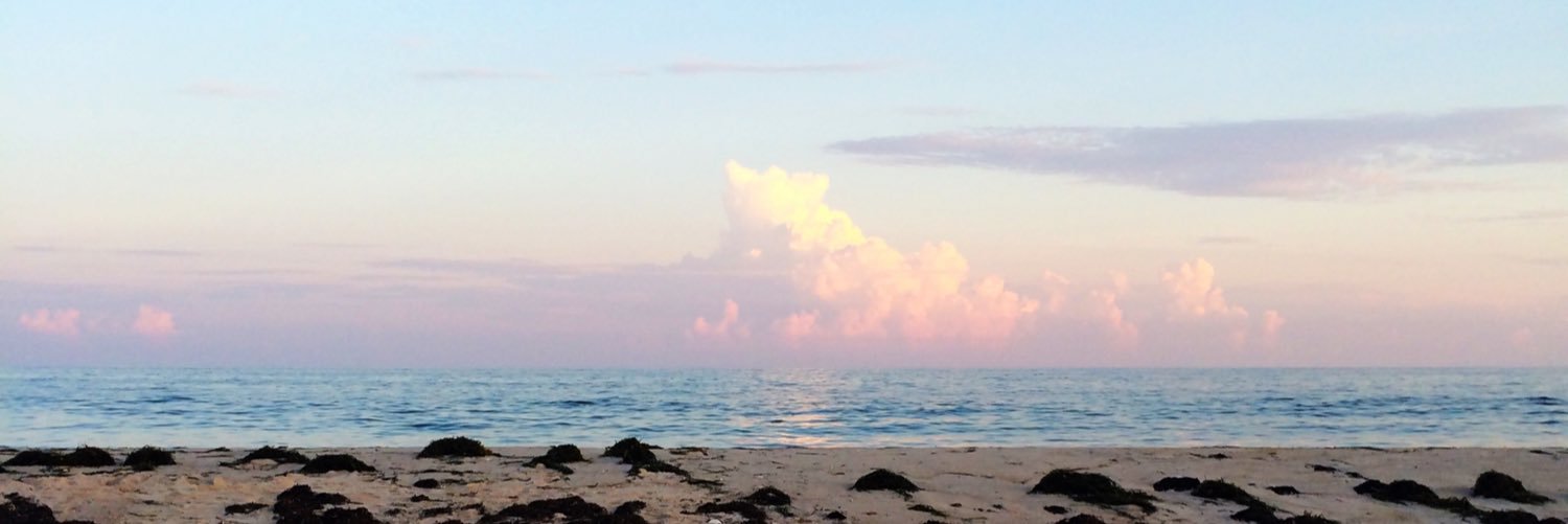 laurenkramer's profile banner image