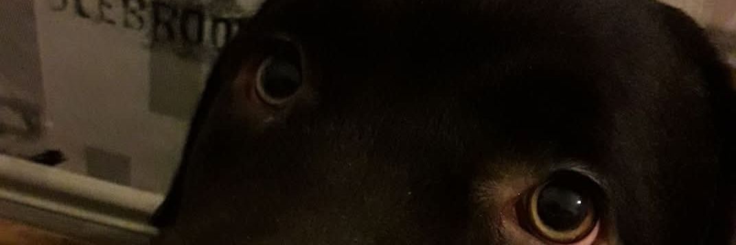 HenriEST95's profile banner image