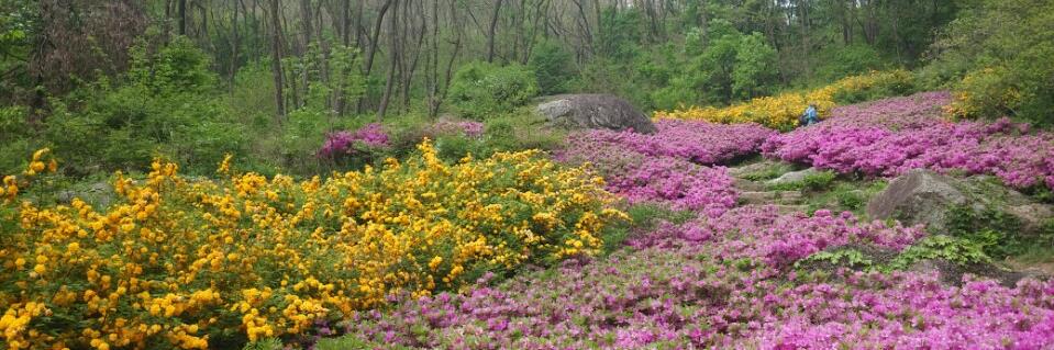 심석태(Seogtae_SHIM) banner