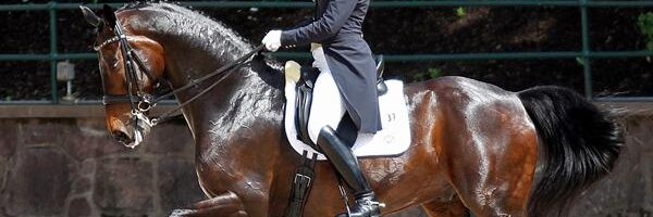 adriennelyle1 Profile Banner