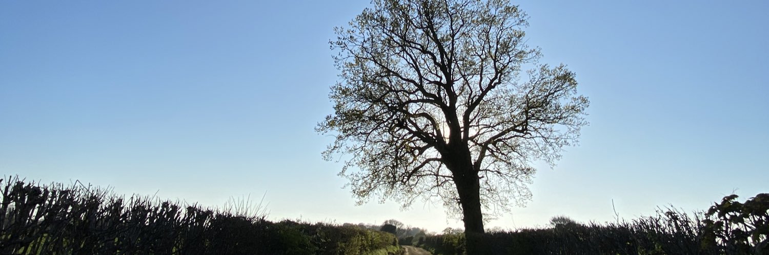 paddybartram's profile banner image