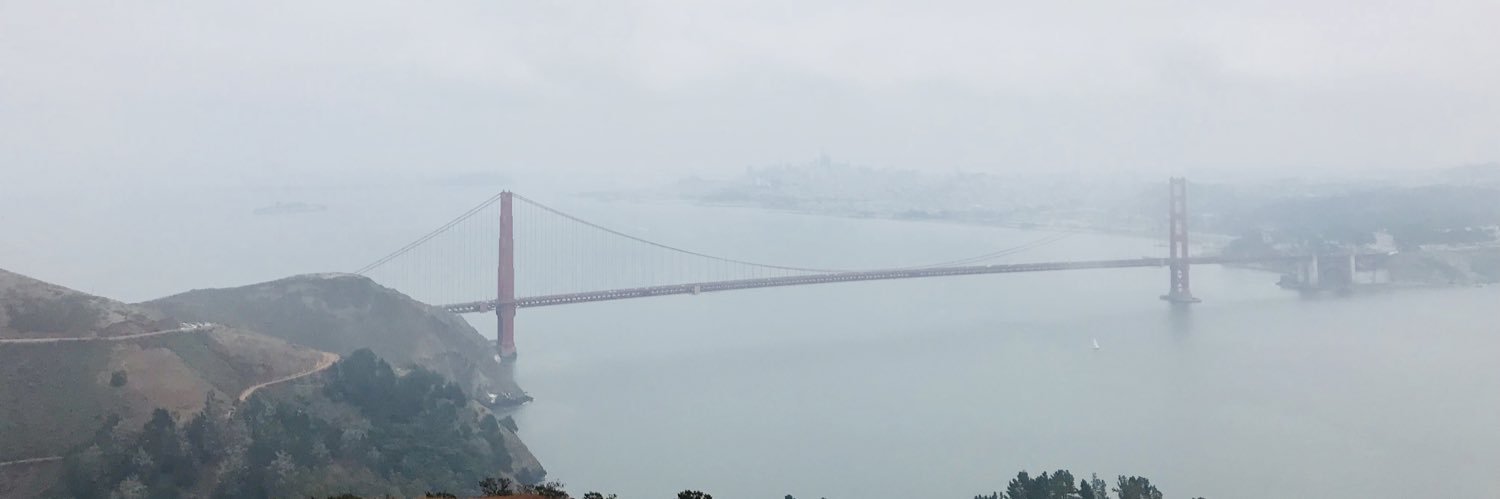 P P banner
