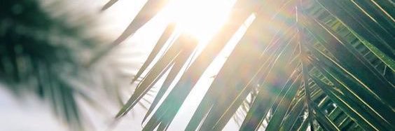 AMathroo's profile banner image
