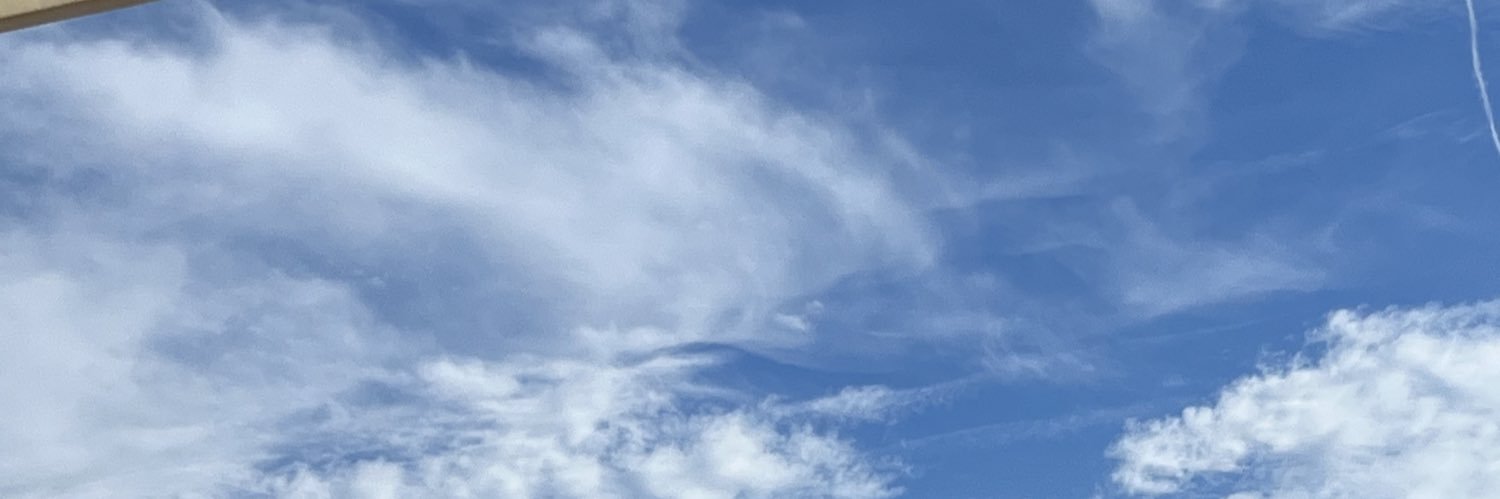SwissExchanges's profile banner image