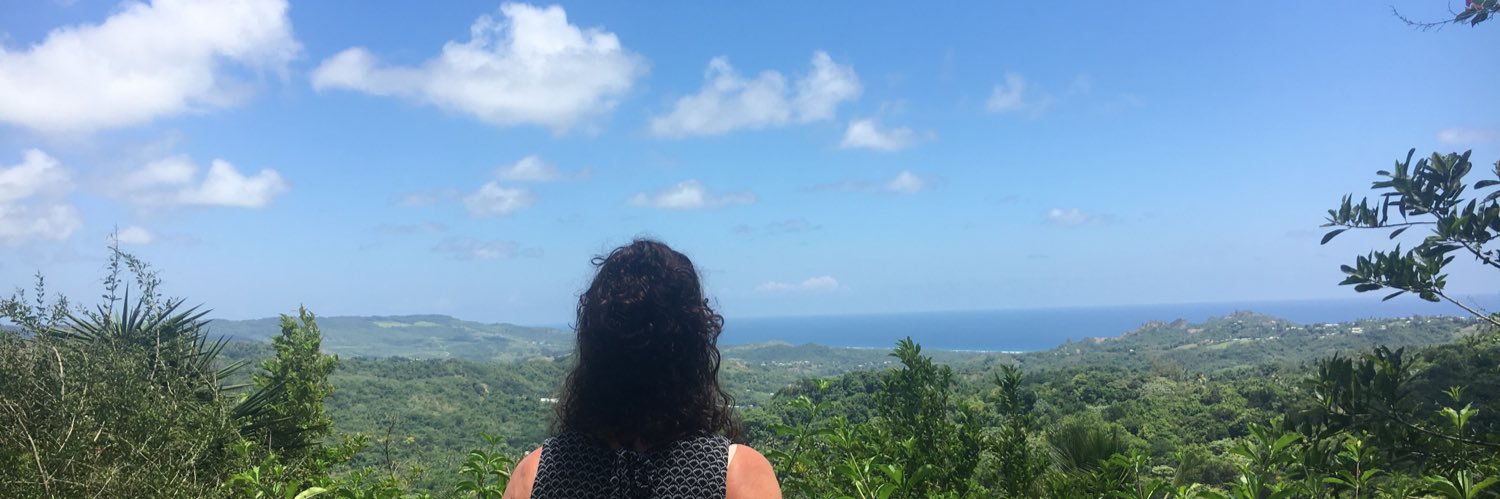 SharonVibert's profile banner image