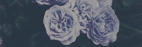NURIIAAFB's profile banner image