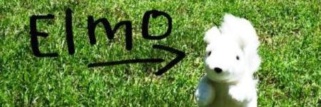 Go2UPSeminary's profile banner image