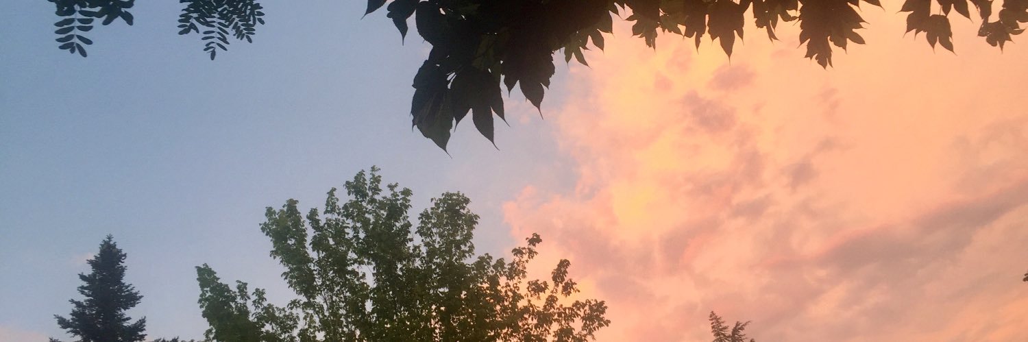 StephanieMVSR's profile banner image
